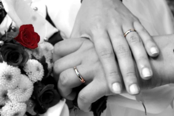 Düğün anlık görüntü