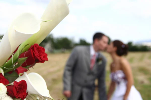 Düğün anlık görüntü