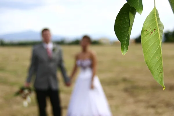 Düğün anlık görüntü