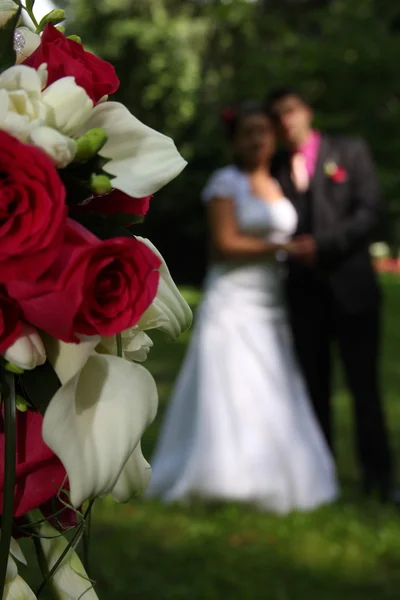 Düğün anlık görüntü