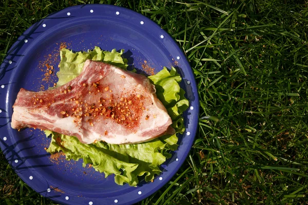 Raw beef steak with pepper on blue plate with leaf lettuce — Stock Photo, Image