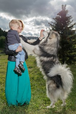 Anne ve çocuk ile köpek doğa üzerinde oynama.