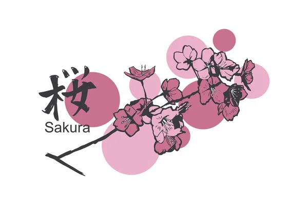 Texto Japonés Sakura Literalmente Flor Cerezo Ilustración Vectorial Caligrafía Japonesa — Vector de stock