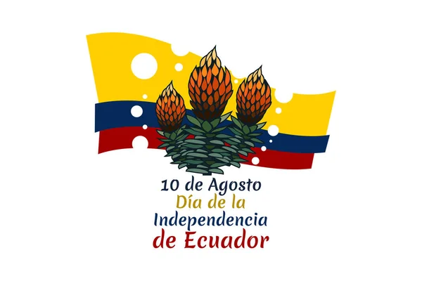 Übersetzt August Glücklicher Unabhängigkeitstag Ecuadors Vektorillustration Geeignet Für Grußkarte Poster — Stockvektor
