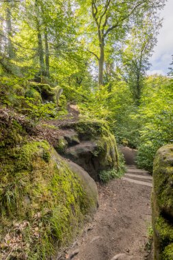 Yosun kaplı kaya oluşumları, vahşi bitki örtüsü ve arka planda yeşil yapraklı ağaçlar arasındaki toprak izi, Mullerthal Trail, Lüksemburg 'da yürüyüş için güneşli bir yaz günü.