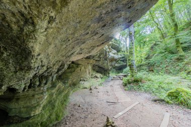 Kum taşı oluşumları, hasarlı ahşap izler, apaçitalar veya cairns, arka planda yeşil yapraklı yabani bitki ve ağaçlar, Mullerthal Trail, Lüksemburg 'da yürüyüş için güneşli bir yaz günü.