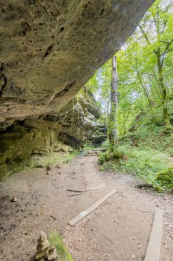 Kum taşı oluşumları, apaçitalar veya mağaralar, arka planda yeşil yapraklı yabani bitki örtüsü ve ağaçlar, Mullerthal Trail, Lüksemburg 'da güneşli bir yaz günü