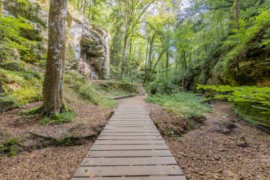 Kaya oluşumları, yemyeşil ağaçlar ve yeşil bitki örtüsü arasındaki toprak arazide ahşap bir yol, arka planda merdiven, Lüksemburg 'da Mullerthal Trail' de yürüyüş için güneşli bir yaz günü.