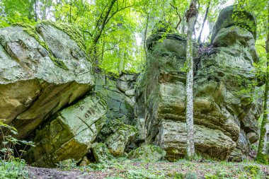 Vahşi bitki örtüsü ve yemyeşil yapraklı yemyeşil ağaçlar arasında yosun ve çatlaklarla dolu dev kum taşı oluşumu Mullerthal Trail, Lüksemburg ormanlarında güneşli bir gün.