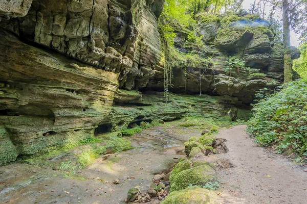 Büyük bir kaya oluşumu ile arka planda kaybolan bir patika arasında az su bulunan akarsu, yeşil yabani bitki örtüsüyle çevrili, Lüksemburg 'daki Mullerthal Trail' de yaz günü yürüyüş yapıyor.