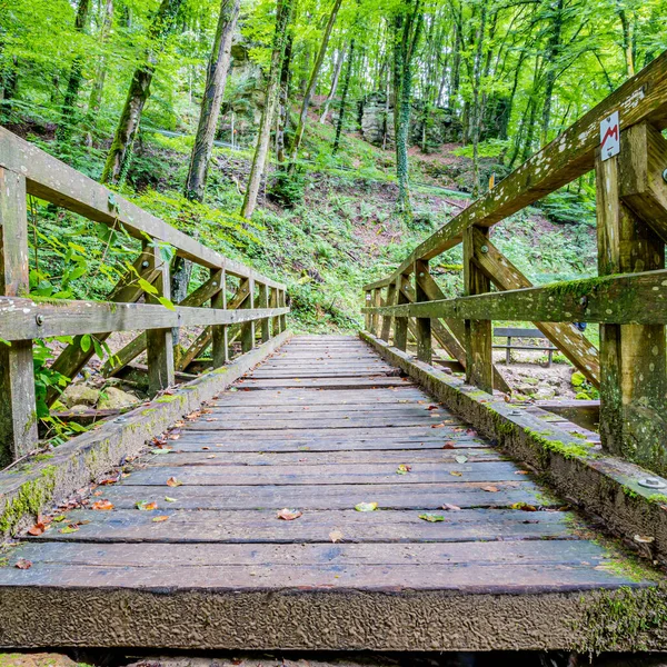 Ağaçları ve arka planında vahşi bitki örtüsü olan bir tepenin yönündeki tahta köprü, çit ve tırabzan, derinlik perspektifi, Mullerthal Trail doğa rezervi, Lüksemburg