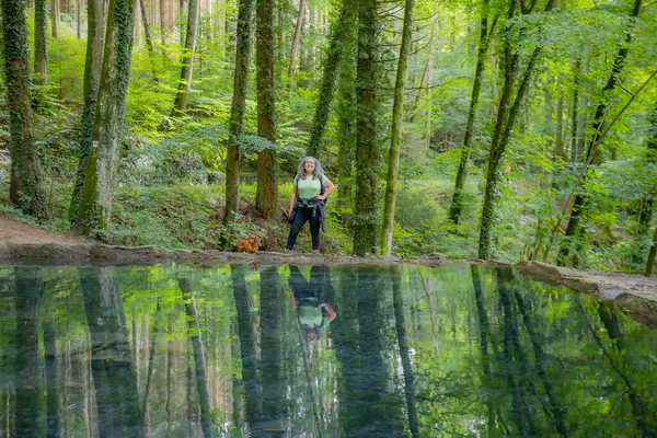 Kristallklart Kalkhaltigt Källvatten Fantastisk Spegelbild Omgivande Gröna Träd Mullerthal Trail — Stockfoto