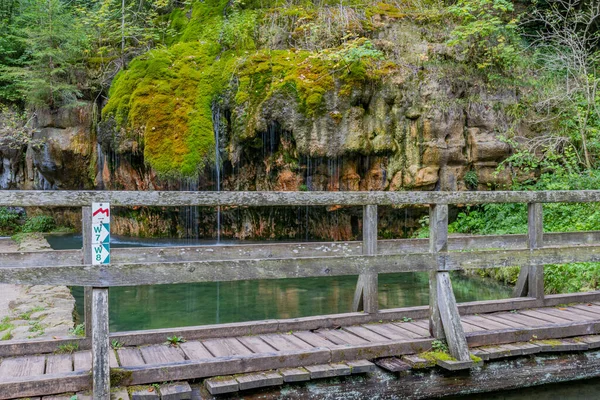 Mullerthal Trail 'deki bir havzanın üzerindeki ahşap köprü, Kallektuffquell şelalesi ve arka planda vahşi bitki örtüsü, yosun kaplı kaya oluşumundan akan kristal berrak kalibreli su, Lüksemburg