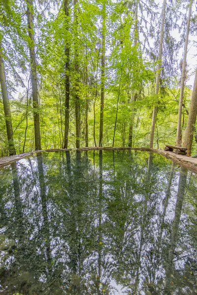 Green Foliage Trees Reflected Surface Crystalline Calcareous Water Spring Sources — Stock Photo, Image