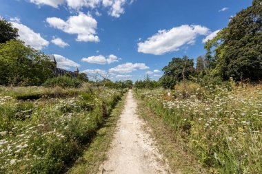 Dirt path among plants and wild flowers in the Ursuline garden (Ursulinentuin / Stadstuin) with lush green trees, depth perspective, sunny day with a blue sky in Sittard, South Limburg, Netherlands