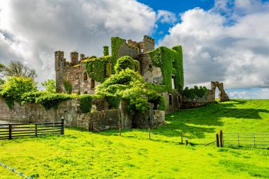 Ruined of Clifden castle with green plants on its walls surrounded by green grass, sunny spring day in the Irish countryside with blue sky and white clouds in County Galway, Ireland