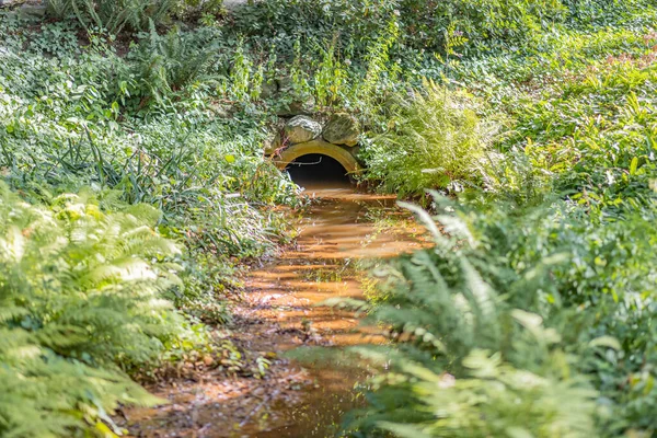 네덜란드의 숲에서 언덕을 가로질러 흐르는 배수관 흐르는 시내로 연결되어 — 스톡 사진