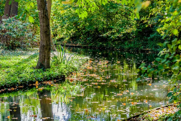 Stream with reflection in the water surface with dry leaves floating, surrounded by green wild vegetation, autumn day in Voerendaal South Limburg in the Netherlands