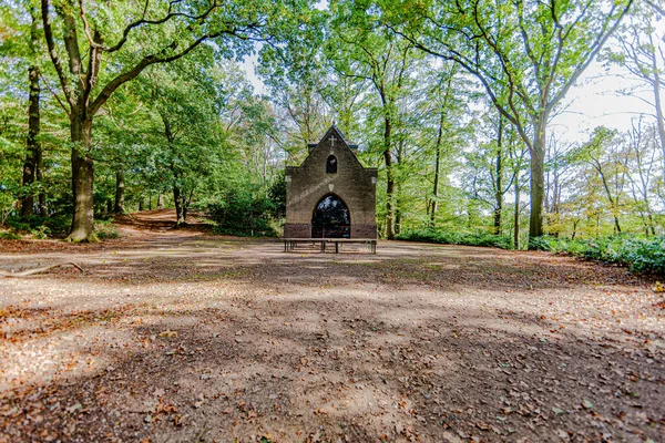 Chapel Mary Chapel Peace Middle Forest Wooden Benches Surrounded Trees —  Fotos de Stock