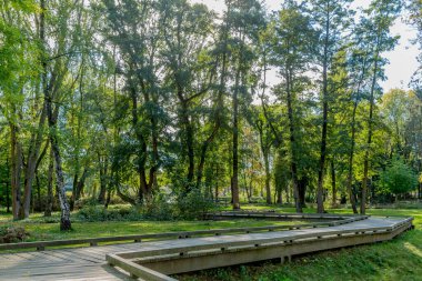 Winding wooden walkway surrounded by trees and green wild vegetation in the park, sunny summer day in Voerendaal South Limburg in the Netherlands Holland