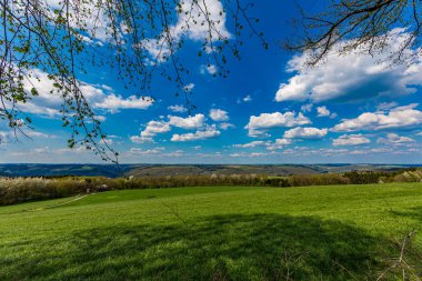 Landscape of green meadows and small hills with abundant trees with the horizon in the background, sunny summer day with blue sky and white clouds in Luxembourg