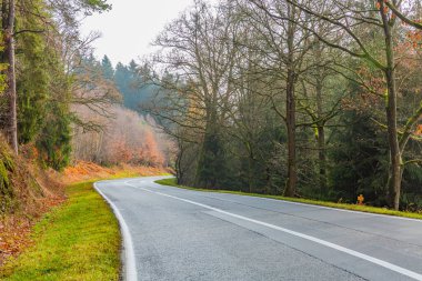 Empty forest road with a curve between grass, bare trees and some pine trees, cloudy day with a gray sky in the Belgian Ardennes