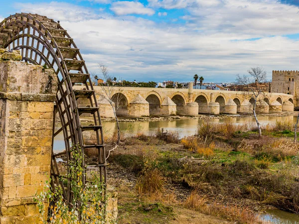 One Guadalquivir Mills Albolafia Water Mill Roman Bridge Cordoba Background — стоковое фото