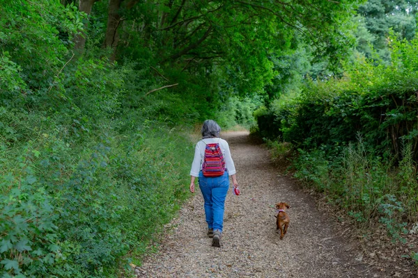 Mature woman with her brown dog walking calmly on a dirt trail, back to the camera, abundant trees and green vegetation, casual clothes and a red backpack, cloudy day in South Limburg, Netherlands