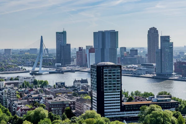 Aerial Cityscape Buildings Skyscrapers Lush Green Trees Erasmus Cable Stayed — стоковое фото