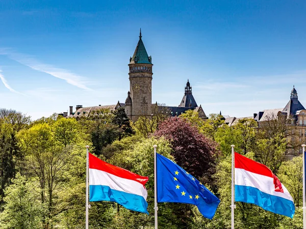 Banderas Unión Europea Luxemburgo Árboles Frondosos Museo Banca Fondo Día — Foto de Stock