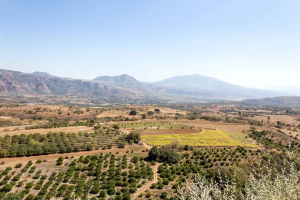 Aerial view of a field with fruit trees and farmland with mountains in a foggy and blurred background, sunny day in the countryside in the state of Jalisco Mexico