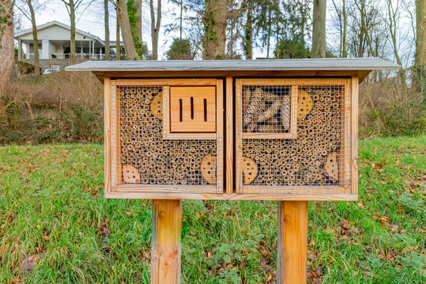 Insect hotel with compartments, small sticks with holes, logs and pine cones, public park in the Netherlands, tree trunks and houses in the blurred background. Biodiversity and environmental ecology