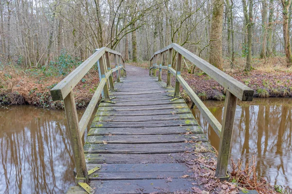 Pequeño Puente Peatonal Rústico Madera Sobre Río Leubeek Con Reflejo — Foto de Stock