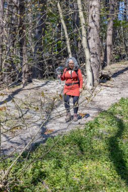 Olgun bir kadın elinde cep telefonu trimbal kafa dengeleyicisi ile ağaçlar arasında kumlu yamaçtan aşağı iniyor. Burgh-Haamstede, Zeeland, Hollanda 'da güneşli bir günde Zeepeduinen kumulları. Etkin yaşam konsepti