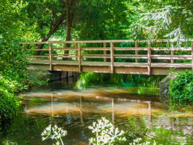 Hollanda, Rotterdam 'daki güneşli bir günde, Schoonoord Park' taki ağaçlar ve yeşil bitki örtüsüyle çevrili, sakin su ve güneş ışığıyla dolu bir dere üzerindeki ahşap köprü su yüzeyine yansıyor.