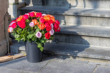 Rusya 'nın Ukrayna' ya silahlı saldırısını protesto etmek için merdivenin yanındaki kırmızı, sarı ve mor güller. Barışseverlik ve dünyada barış için dua kavramı. Roermond, Limburg, Hollanda