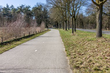 Her iki yöne de paralel boş bisiklet yolu yeşil çimenler ve çıplak ağaçlar arasında arka planda kayboluyor. Hollanda 'da açık mavi gökyüzü güneşli bir gün.