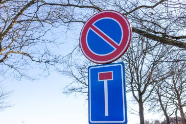 Trafik işaretleri: Park yeri yok ve bu yol çıkmaz sokak, yuvarlak ve dikdörtgen plakalı mavi, kırmızı ve beyaz, arka planda açık gökyüzü olan çıplak ağaç dalları, Hollanda