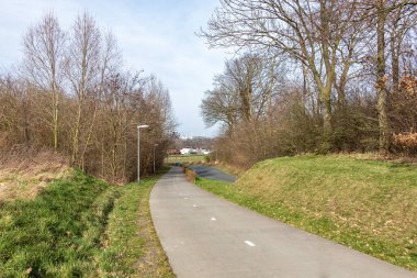 Her iki yönde de bisiklet yolu çıplak ağaçlarla çevrili, tehlikeli eğri çizgileri olan kırsal bir yolun yanında, arka planda bulanık tarlalar, Hollanda 'da güneşli bir gün.