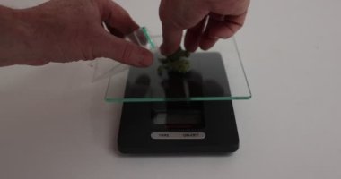 Erkek eller marihuanayı alıyor ve plastik bir torbaya koyuyorlar. Kenevir çiçeği soyu, sisli marihuana çiçeği. Alternatif bitkisel tıp konsepti