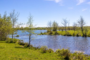 Molenplas 'ın doğal koruma alanından görülen Oude Maas nehrine akan sakin su akıntısı, arka planda ağaçlar ve ufuk, Stevensweert, Güney Limburg, Hollanda' da güneşli bahar günü