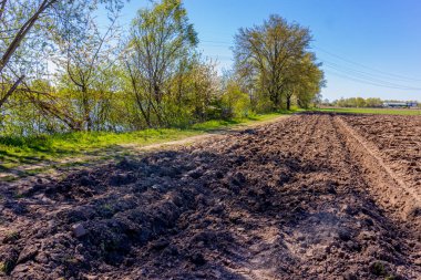 Tarıma hazır tarım arazisi ağaçlar, yabani bitkiler ve Oude Maas nehri boyunca uzanan bir patika boyunca Stevensweert, Güney Limburg 'da güneşli bir bahar günü.
