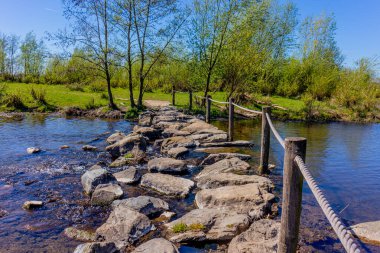 Nature reserve with stepping stones at Brug Molenplas in the  river Oude Maas, wooden posts and rope fences, green trees in background, sunny day in Stevensweert, South Limburg, Netherlands