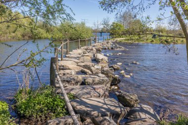 Oude Maas nehri ile doğa rezervi, Brug Molenplas 'da tahta direkler ve halat çitleri ile basamak taşları, arka planda yeşil ağaçlar, Stevensweert, Güney Limburg, Hollanda' da güneşli bir gün