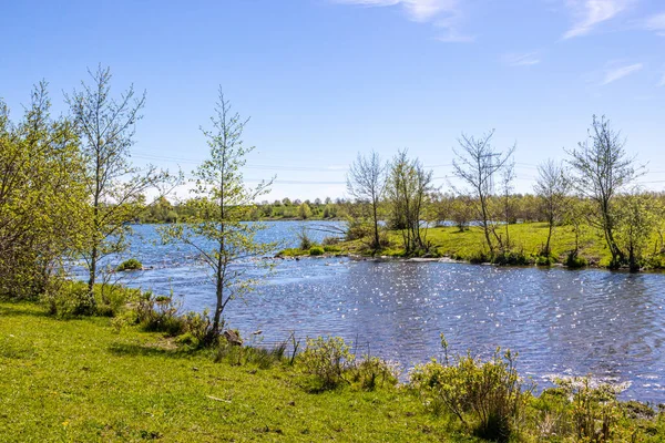 Molenplas 'ın doğal koruma alanından görülen Oude Maas nehrine akan sakin su akıntısı, arka planda ağaçlar ve ufuk, Stevensweert, Güney Limburg, Hollanda' da güneşli bahar günü