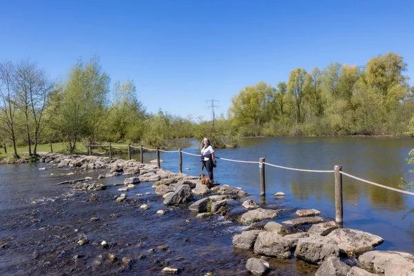 Brug Molenplas ile doğa rezervi Oude Maas nehrinde basamak taşları, köpeğiyle ayakta duran olgun bir kadın, kamera, arka planda ağaçlara bakan, Stevensweert, Güney Limburg, Hollanda 'da güneşli bir gün