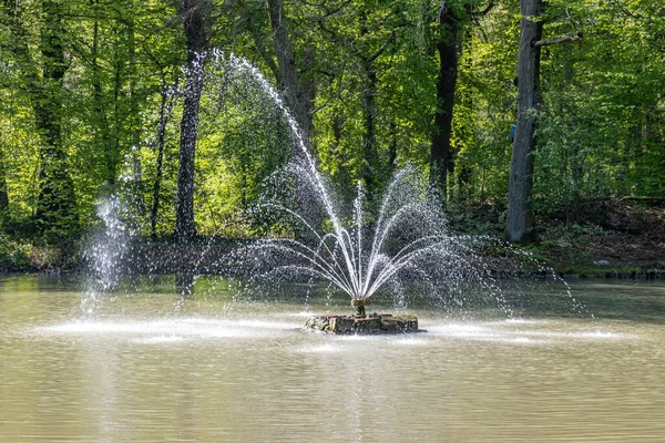 水のジェットが出て水に落ち 背景に緑豊かな緑の木 オランダ南リンブルグ州スタインのHeidekamp公園の晴れた春の日を持つ池 — ストック写真