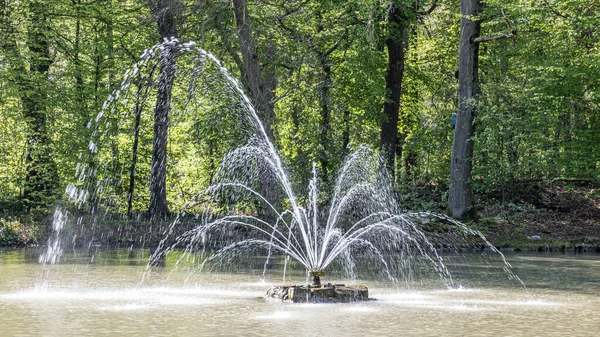 Working Fountain Jets Water Coming Out Falling Water Lush Green — Fotografia de Stock