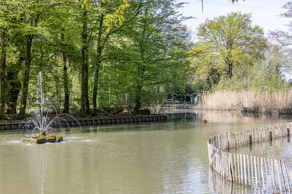 Su püskürten bir çeşmesi olan sakin bir gölet, arka planda yeşil ağaçlar, ahşap çitler, yabani bitki örtüsü, Stein, Güney Limburg 'daki Heidekamp Parkı' nda güneşli bir bahar günü.