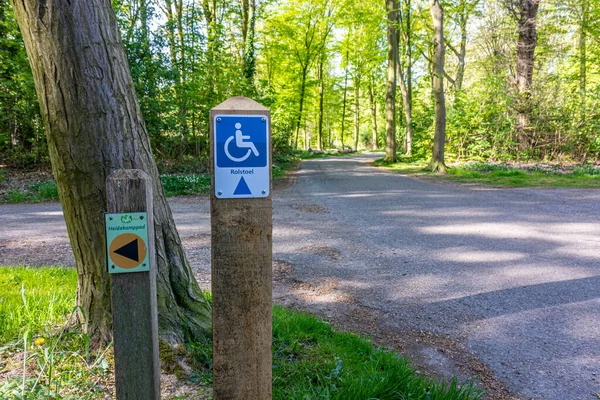 Bifurcation with hiking signs: one for disabled people with word Rolstoel meaning wheelchair and one for walkers, Heidekamp park, trees in the background, sunny day, Stein, South Limburg, Netherlandsg